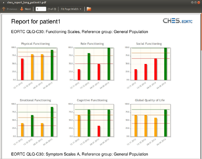 CHES Report PDF mit jspdf